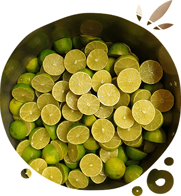 Limes